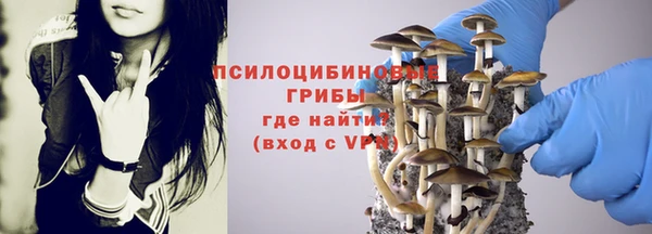 spice Нязепетровск