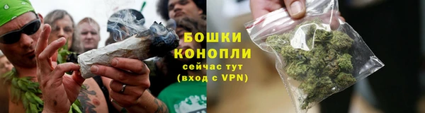 СК Бронницы