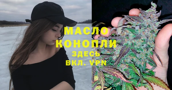 мет Няндома