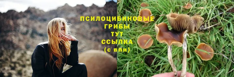 Галлюциногенные грибы Cubensis  купить наркоту  это официальный сайт  Лянтор 